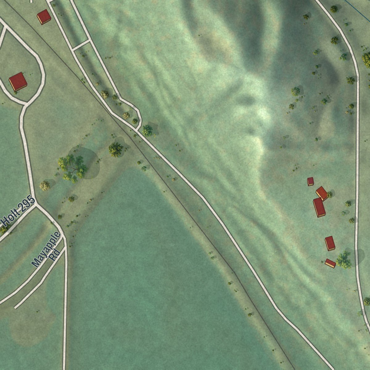 Second close-up of the map of Forest City, Missouri print showing more streets and buildings