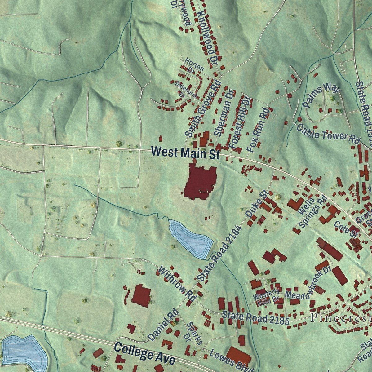 Second close-up of the map of Forest City, North Carolina print showing more streets and buildings