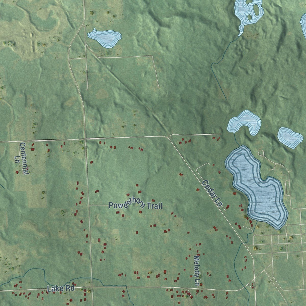 Second close-up of the map of Forest, Genesee County, Michigan print showing more streets and buildings