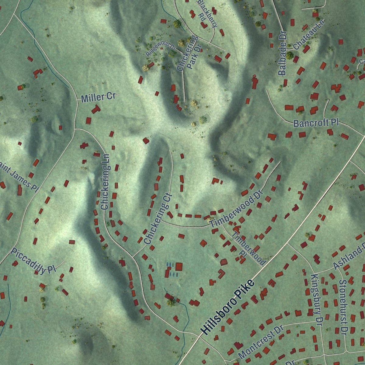 Second close-up of the map of Forest Hills, Tennessee print showing more streets and buildings
