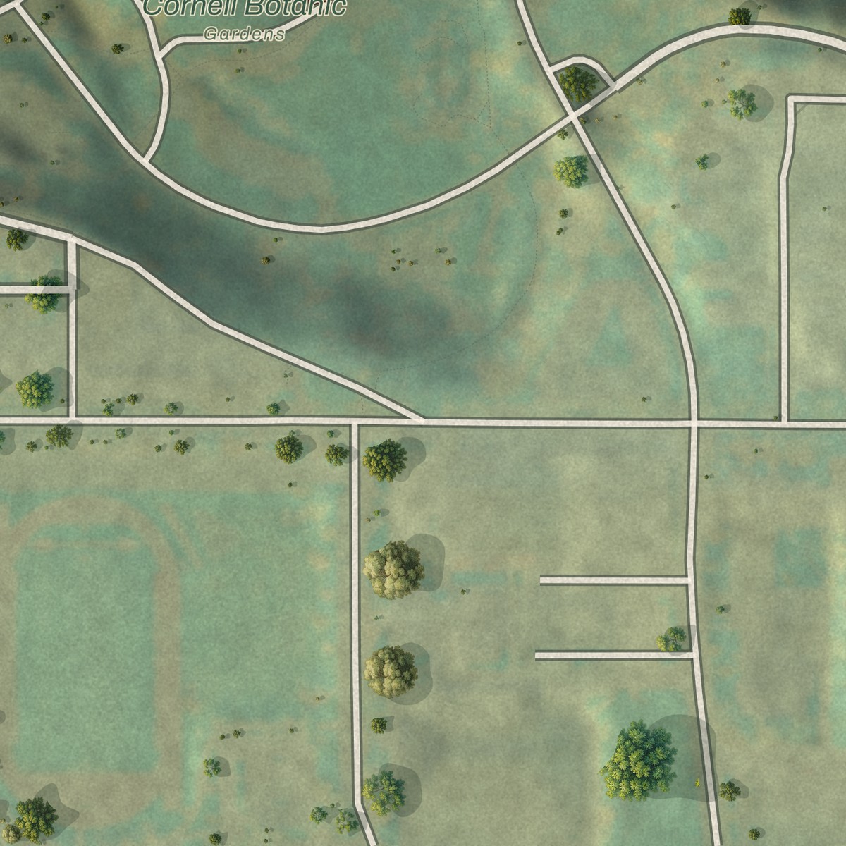 Second close-up of the map of Forest Home, New York print showing more streets and buildings