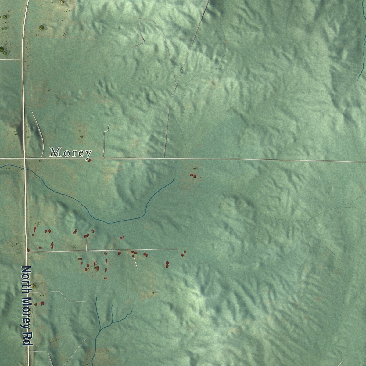 Second close-up of the map of Forest, Missaukee County, Michigan print showing more streets and buildings