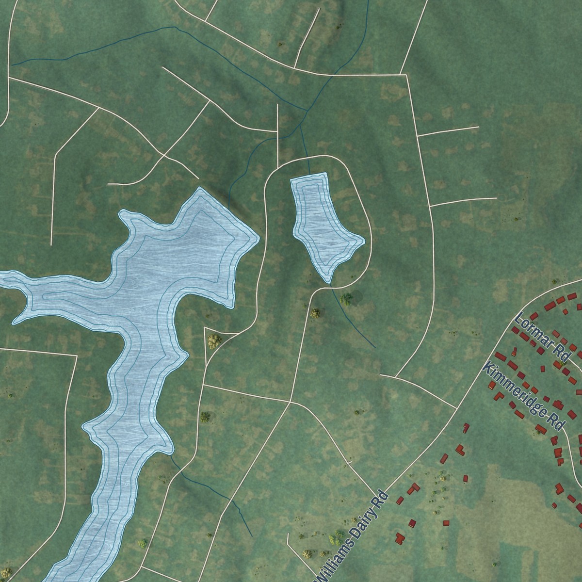 Second close-up of the map of Forest Oaks, North Carolina print showing more streets and buildings