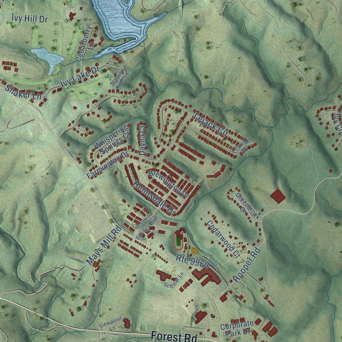 Second close-up of the map of Forest, Virginia print showing more streets and buildings