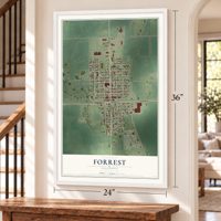 Forrest, Illinois map, 24 x 36 inch print in a white frame by a staircase