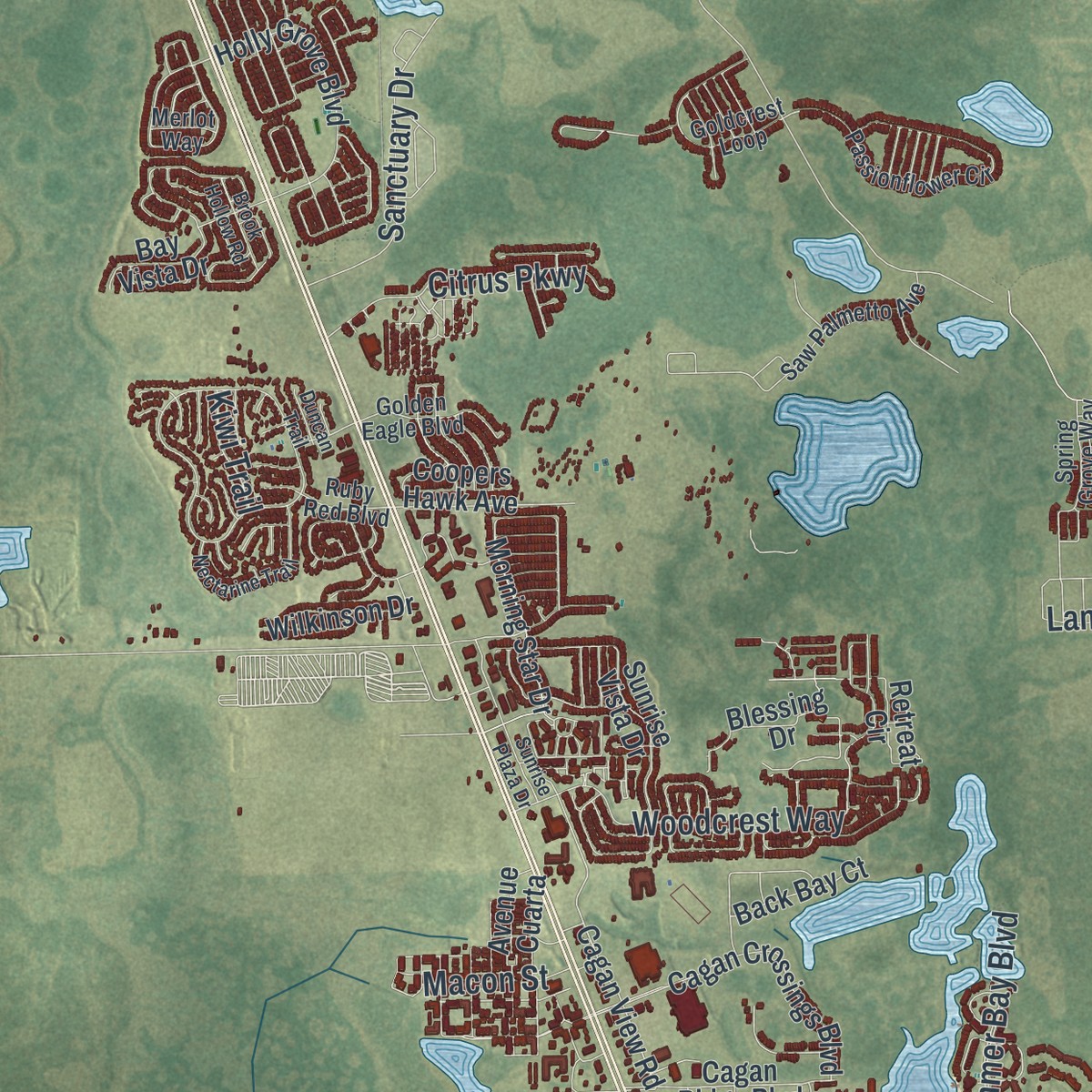 Second close-up of the map of Four Corners, Florida print showing more streets and buildings
