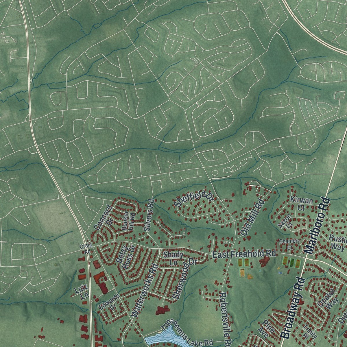 Second close-up of the map of Freehold, Monmouth County, New Jersey print showing more streets and buildings