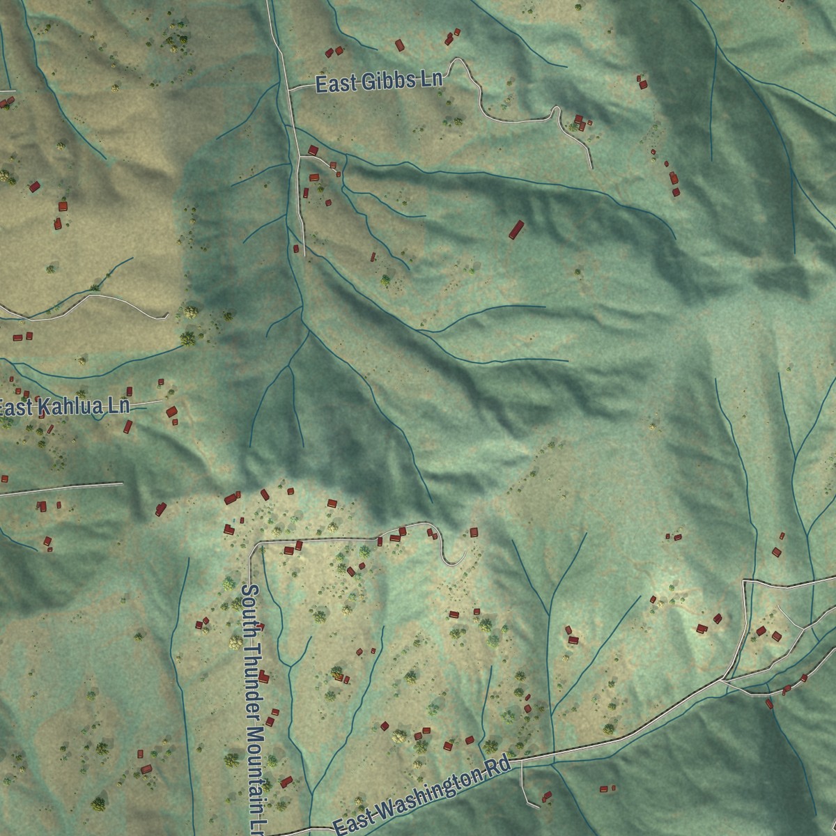 Second close-up of the map of Freeman, Washington print showing more streets and buildings