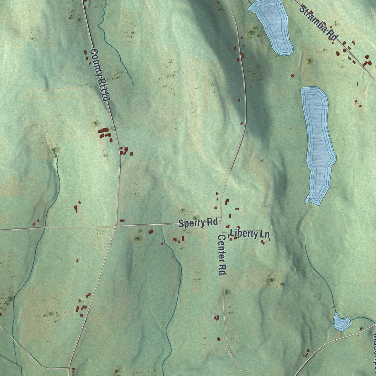 Second close-up of the map of Freetown, New York print showing more streets and buildings