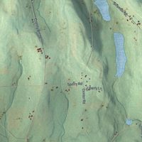 Second close-up of the map of Freetown, New York print showing more streets and buildings