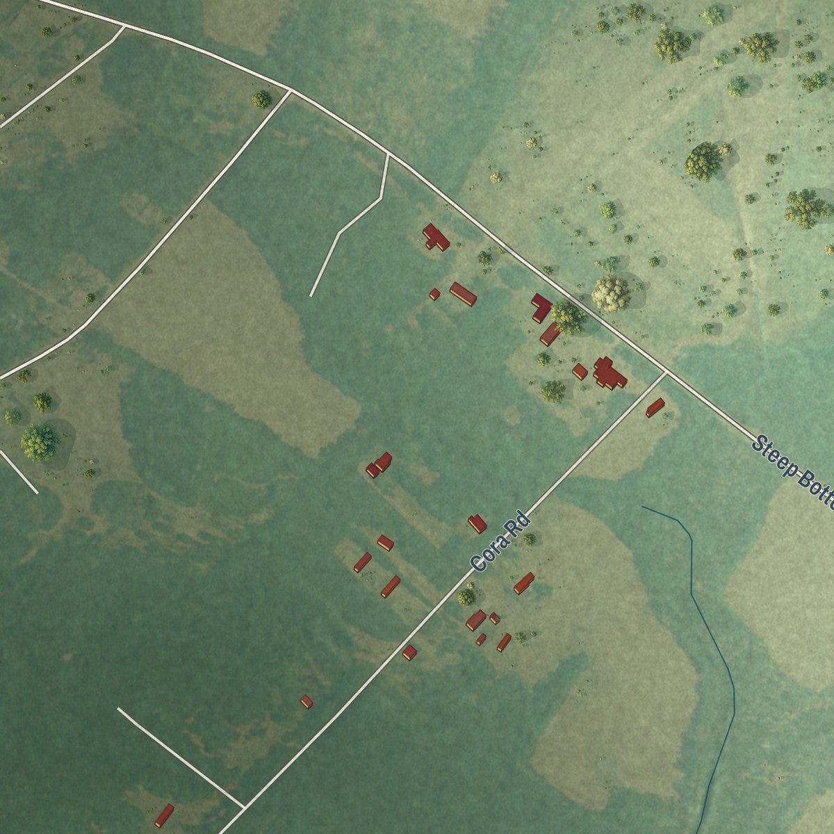 Second close-up of the map of Furman, South Carolina print showing more streets and buildings