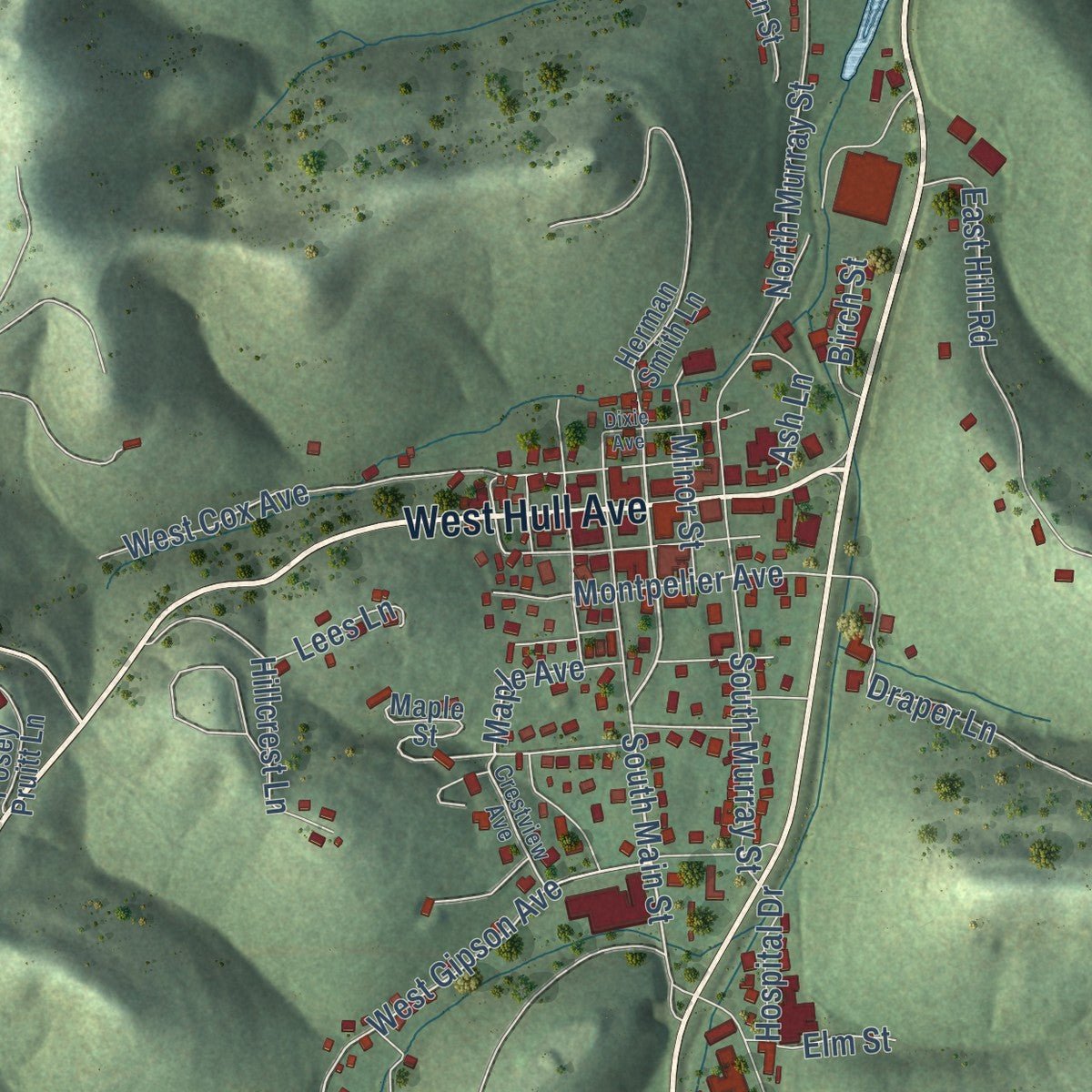 Second close-up of the map of Gainesboro, Tennessee print showing more streets and buildings