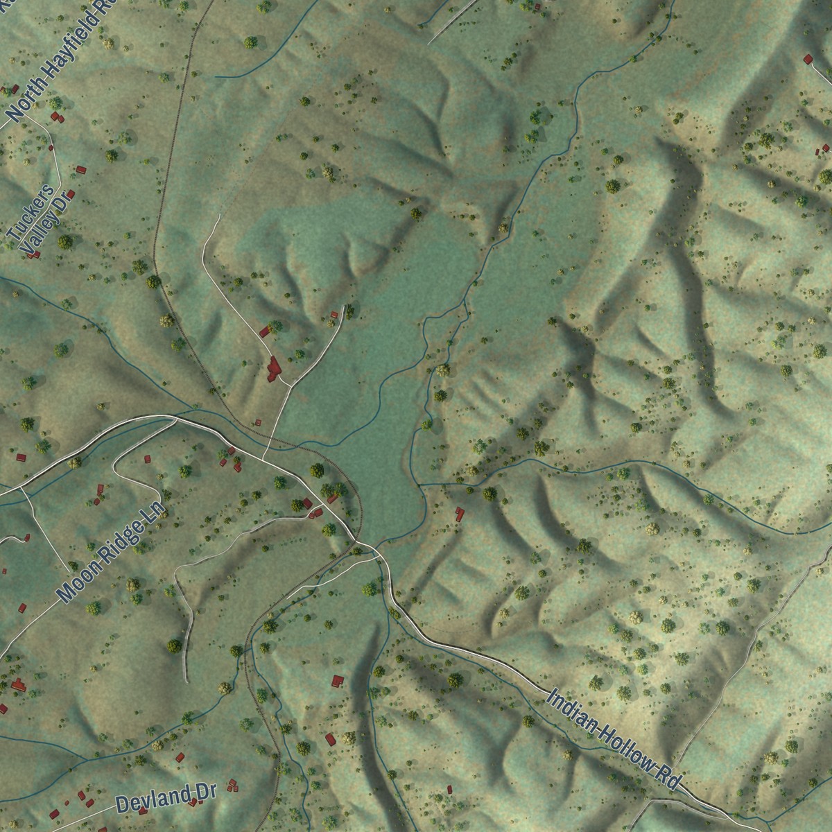 Second close-up of the map of Gainesboro, Virginia print showing more streets and buildings