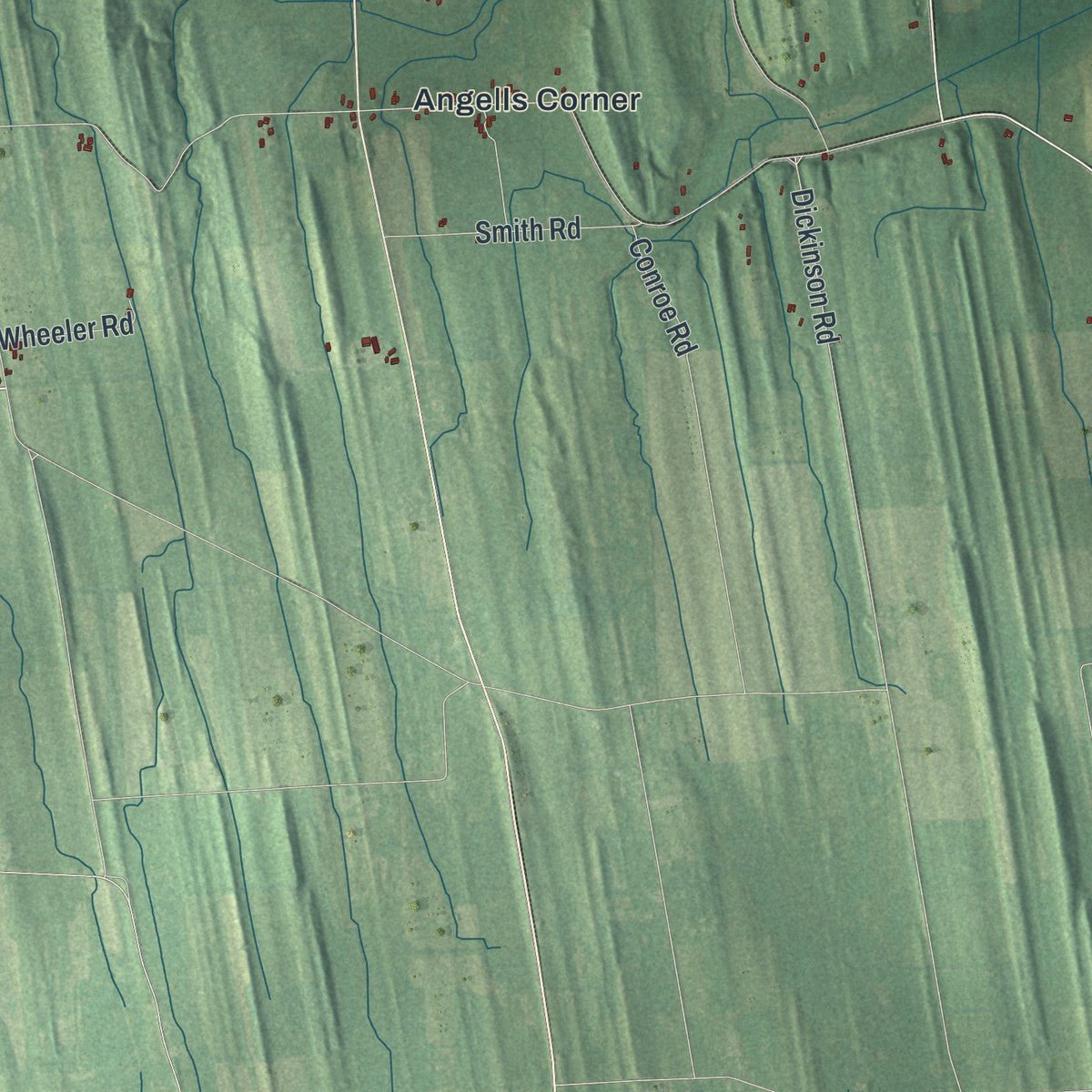 Second close-up of the map of Galen, New York print showing more streets and buildings