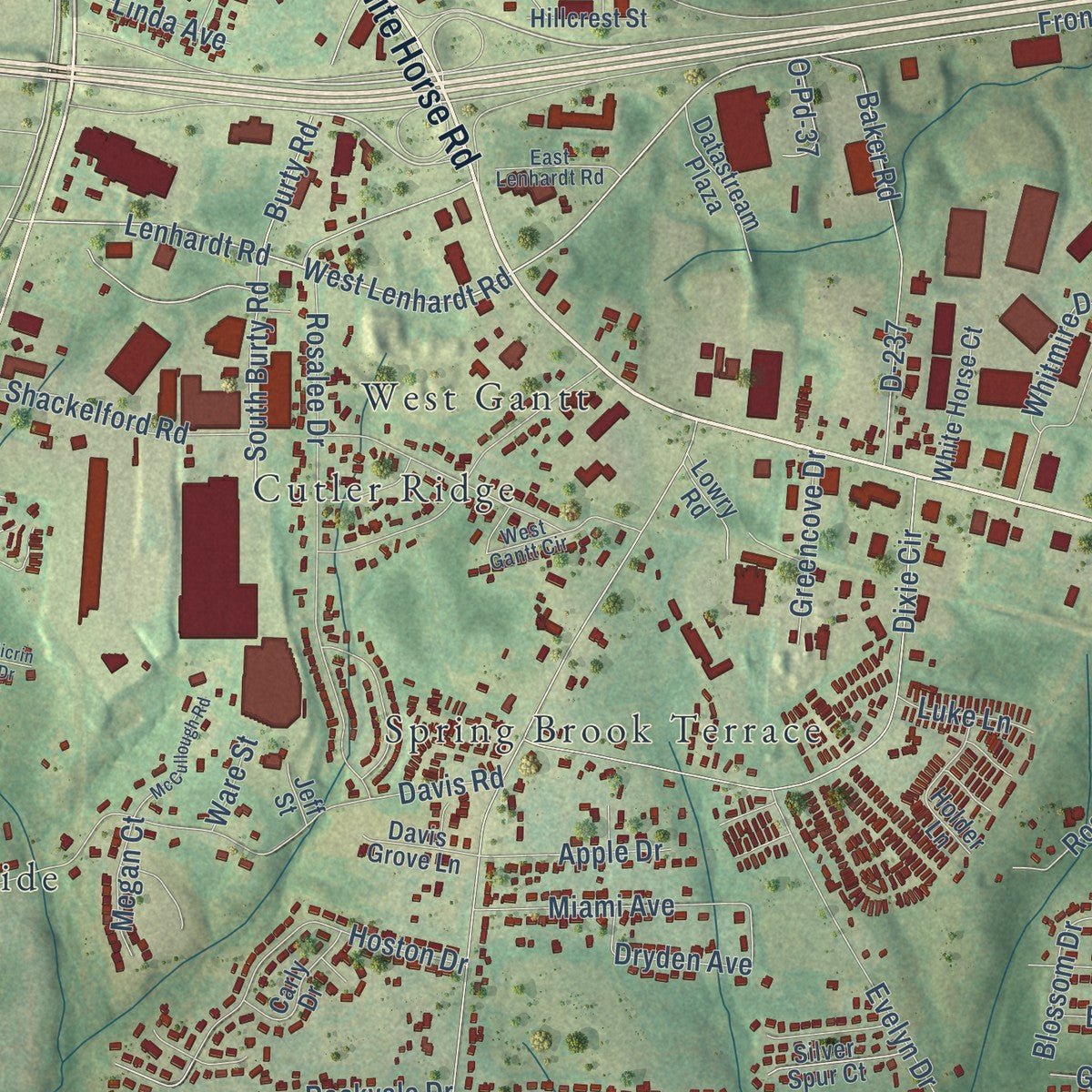 Second close-up of the map of Gantt, South Carolina print showing more streets and buildings