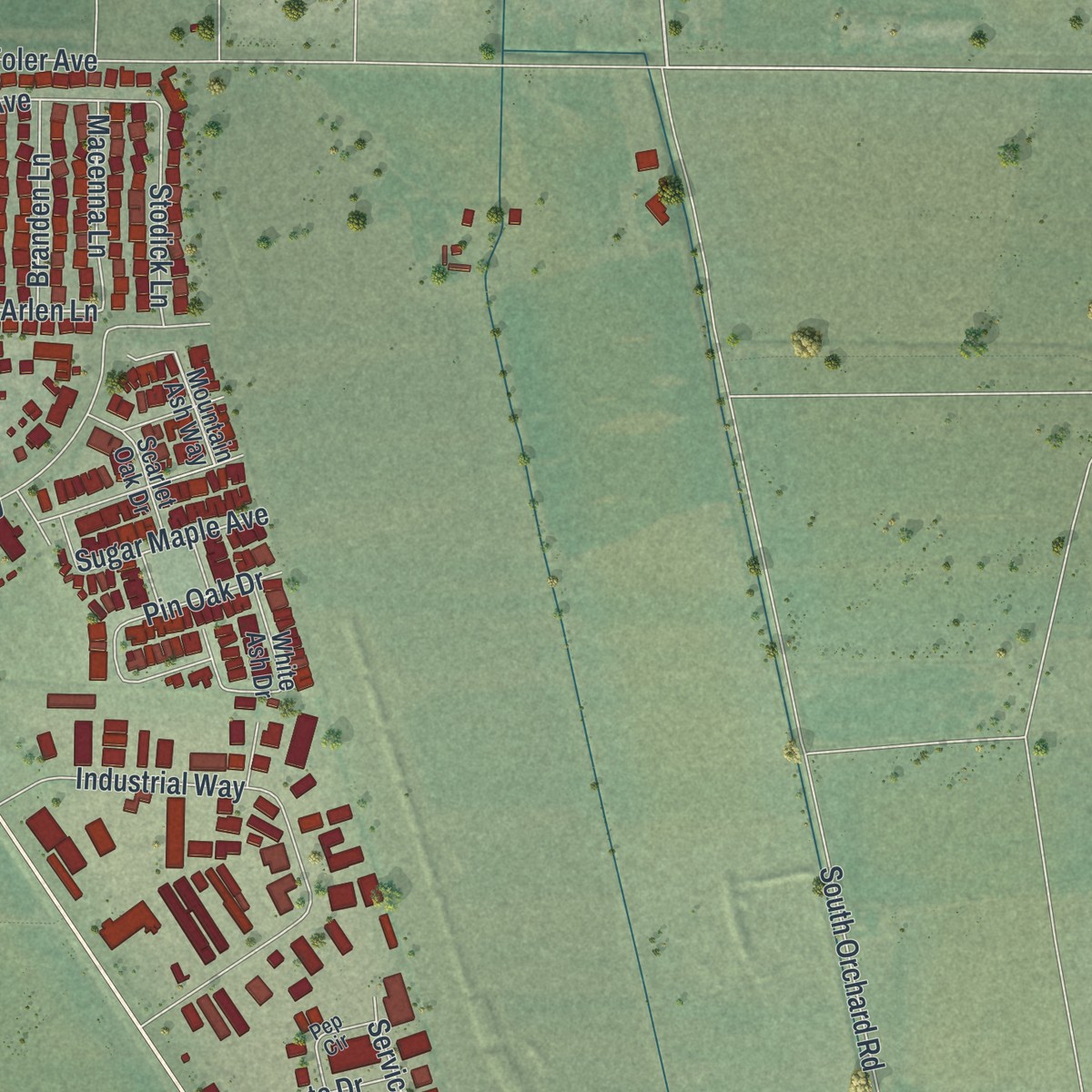 Second close-up of the map of Gardnerville, Nevada print showing more streets and buildings
