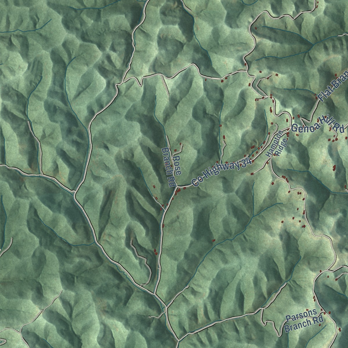 Second close-up of the map of Genoa, West Virginia print showing more streets and buildings