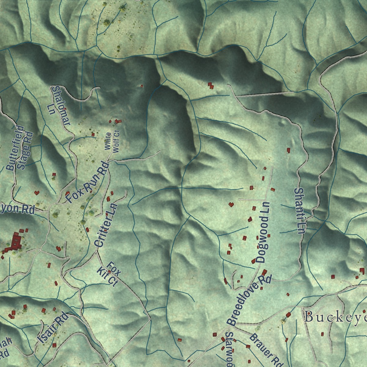 Second close-up of the map of Georgetown, California print showing more streets and buildings