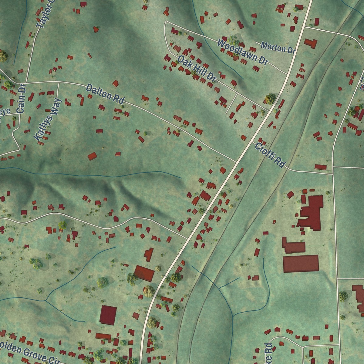 Second close-up of the map of Golden Grove, South Carolina print showing more streets and buildings