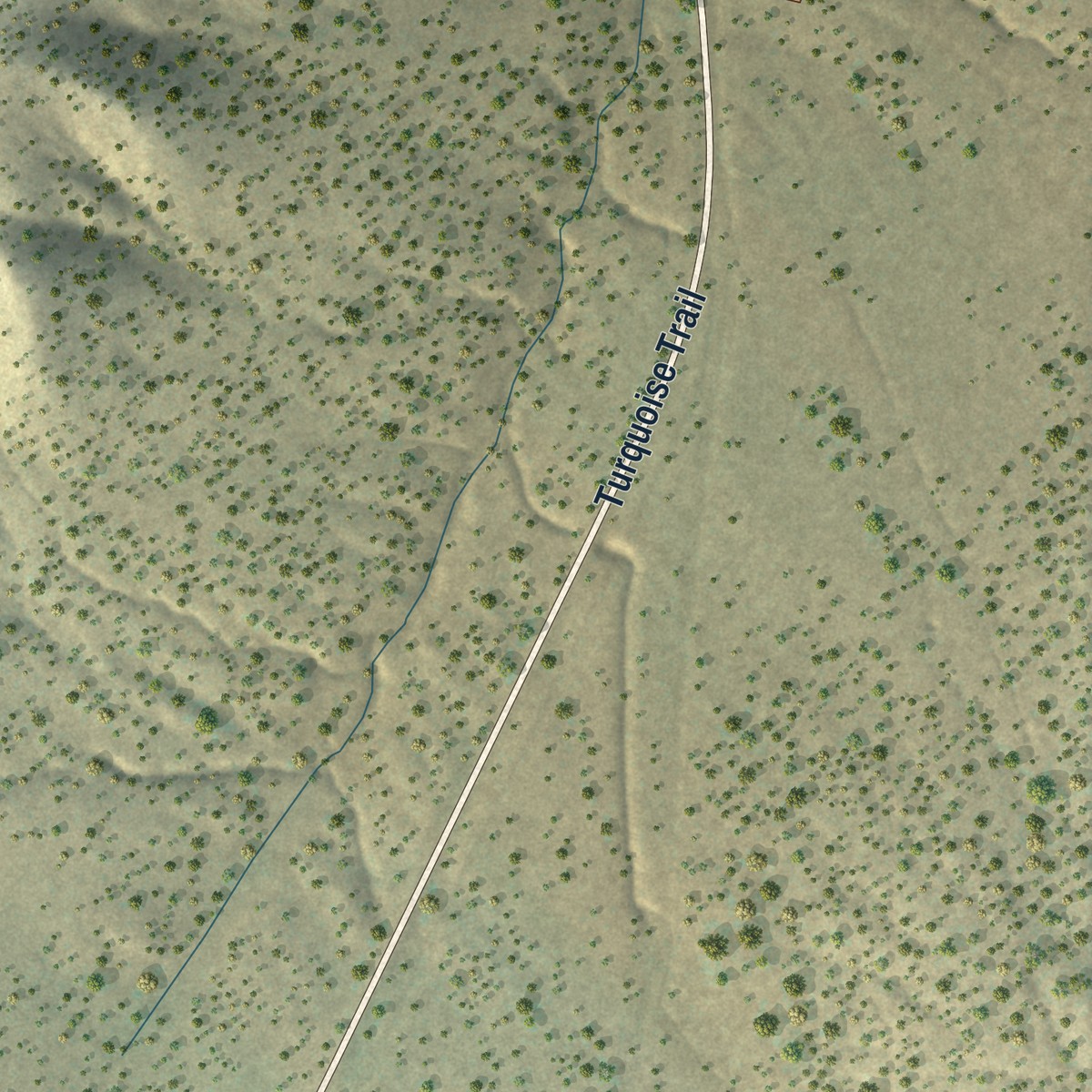 Second close-up of the map of Golden, New Mexico print showing more streets and buildings