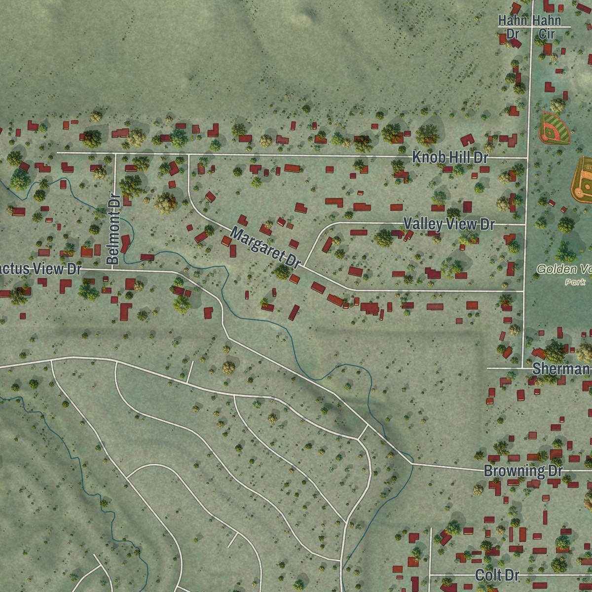 Second close-up of the map of Golden Valley, Nevada print showing more streets and buildings