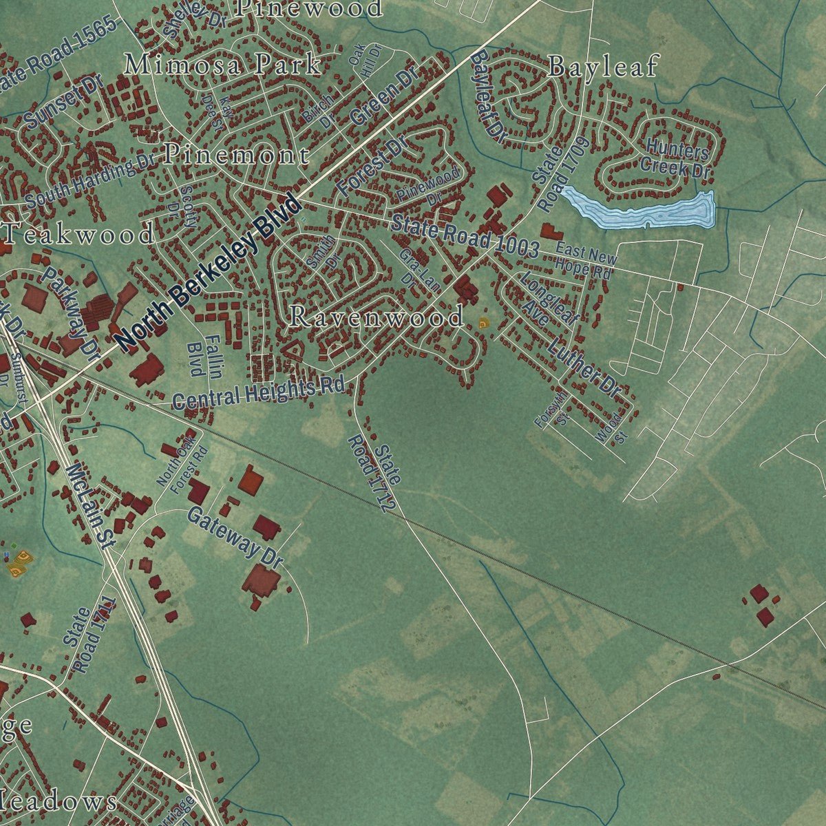 Second close-up of the map of Goldsboro, North Carolina print showing more streets and buildings