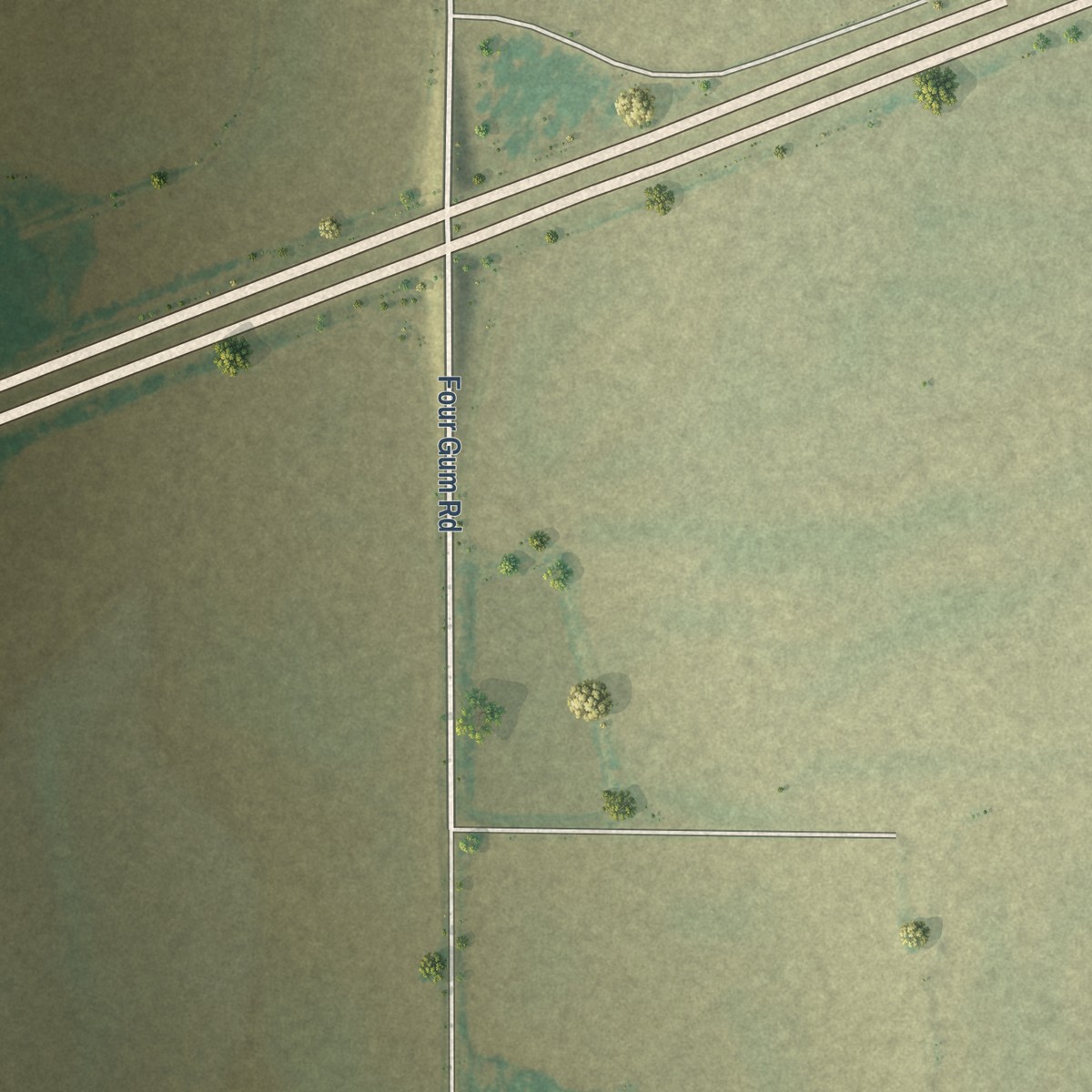 Second close-up of the map of Goodwin, Arkansas print showing more streets and buildings