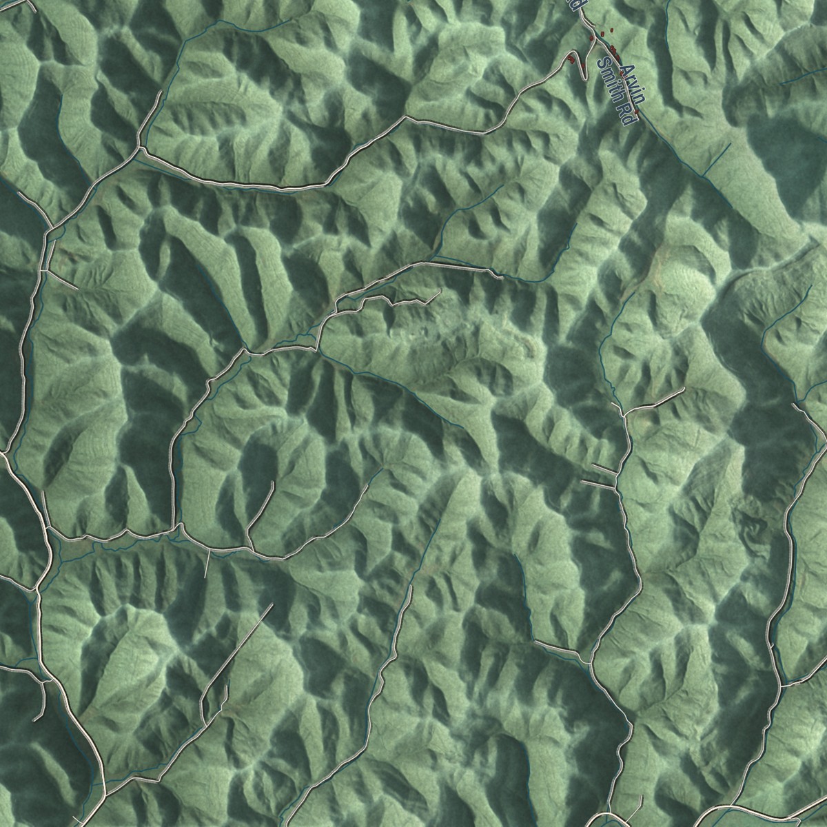 Second close-up of the map of Goose Rock, Kentucky print showing more streets and buildings