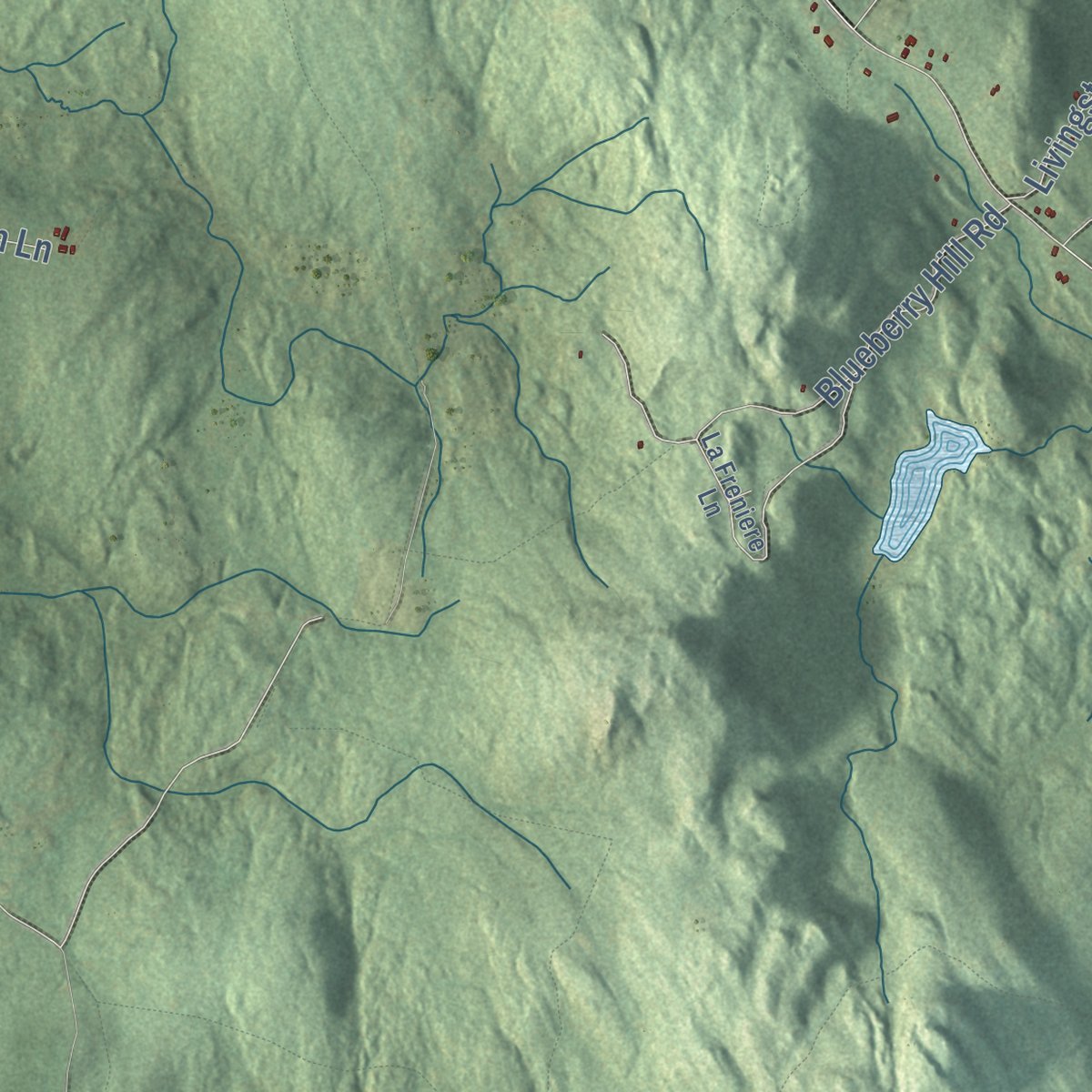 Second close-up of the map of Grafton, New Hampshire print showing more streets and buildings