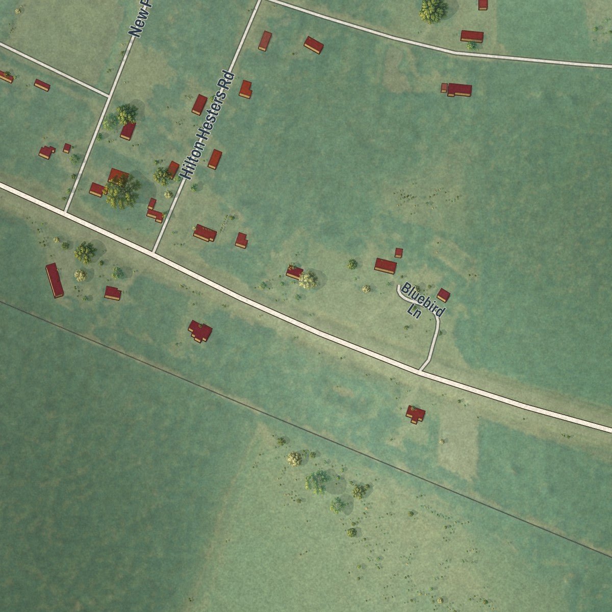 Second close-up of the map of Graham, Georgia print showing more streets and buildings