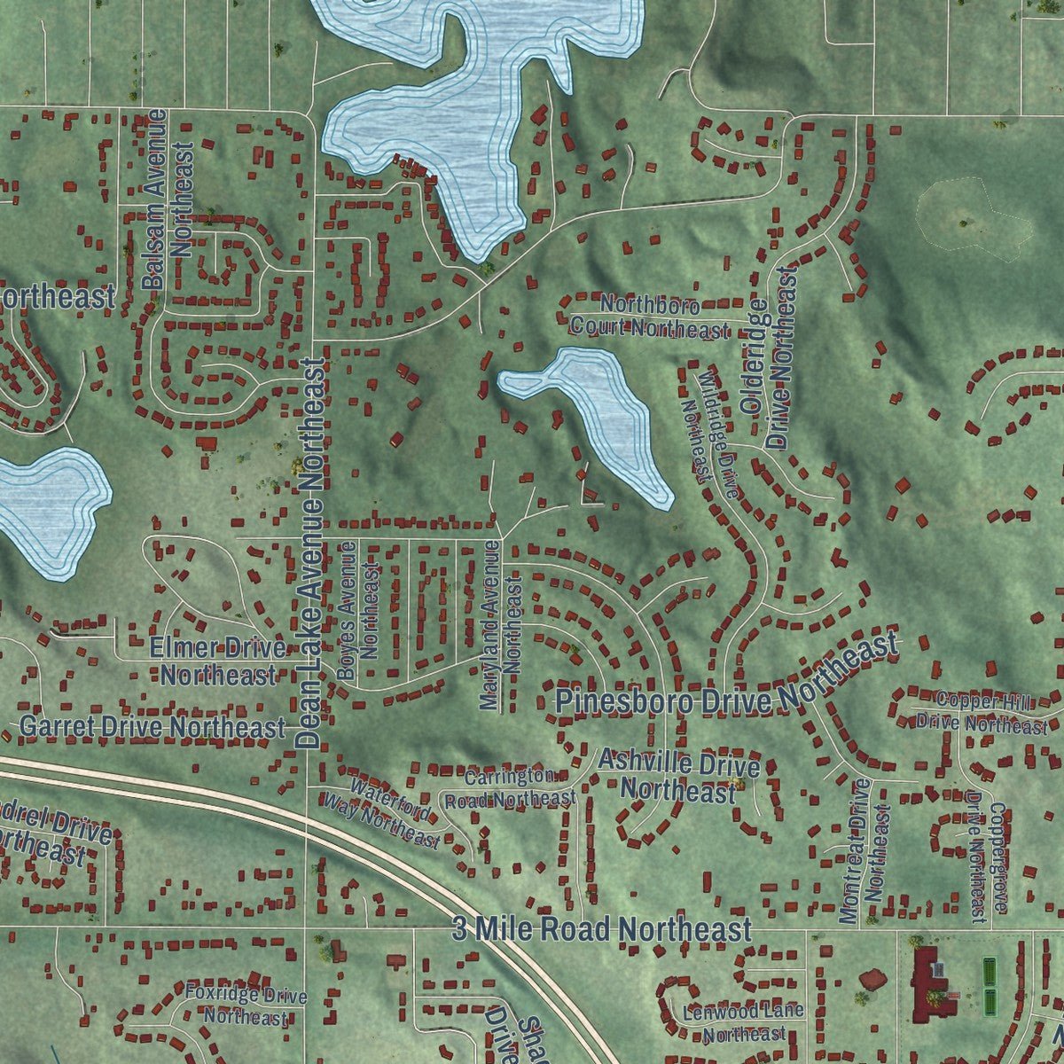 Second close-up of the map of Grand Rapids, Kent County, Michigan print showing more streets and buildings