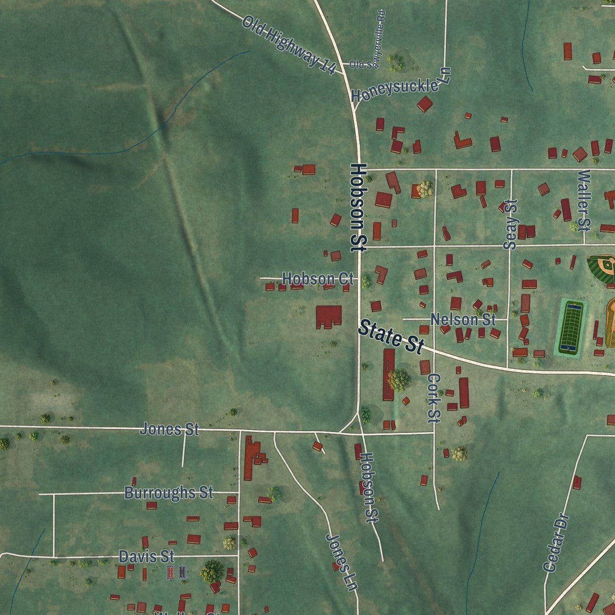 Second close-up of the map of Greensboro, Alabama print showing more streets and buildings