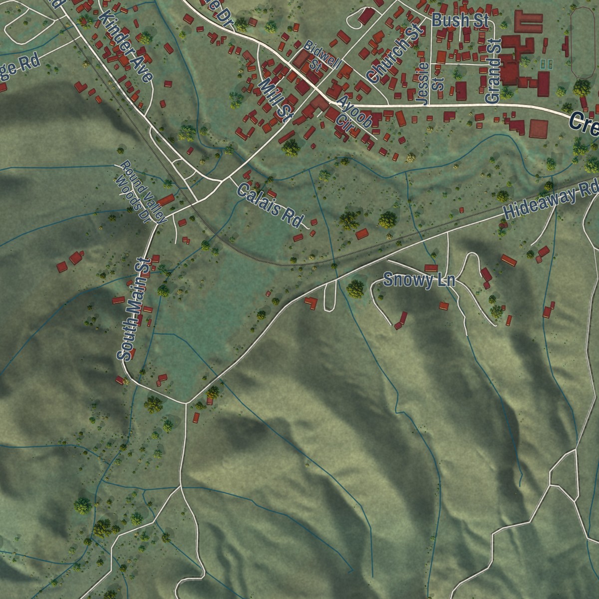 Second close-up of the map of Greenville, California print showing more streets and buildings