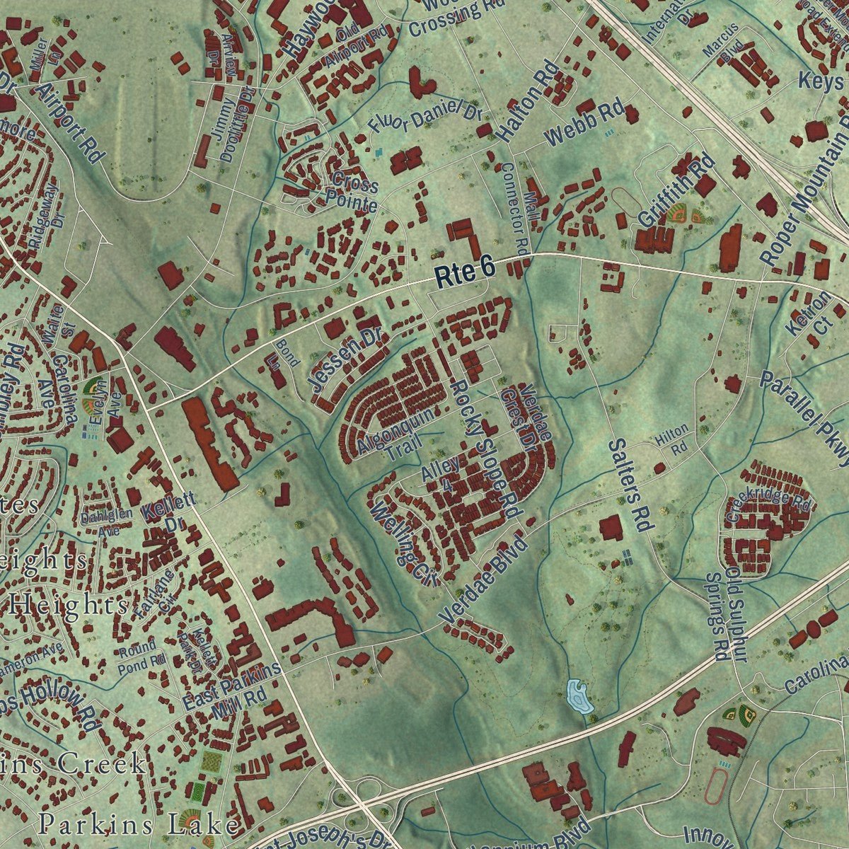 Second close-up of the map of Greenville, South Carolina print showing more streets and buildings
