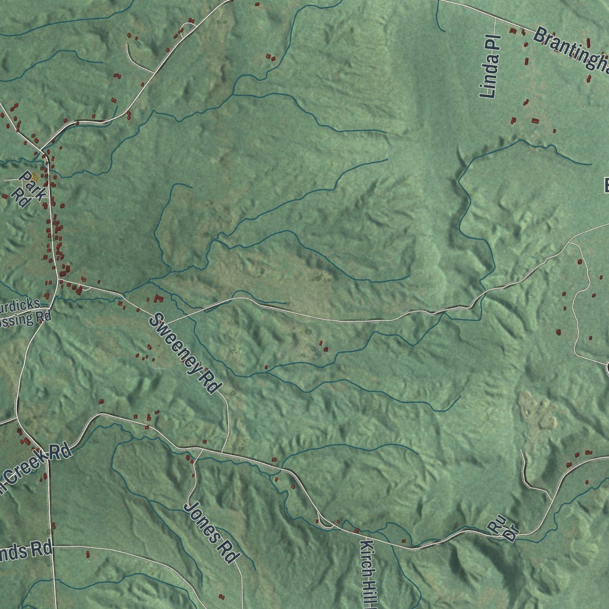 Second close-up of the map of Greig, New York print showing more streets and buildings