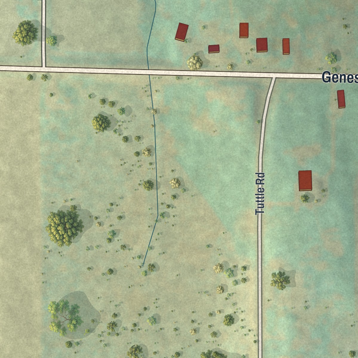 Second close-up of the map of Greigsville, New York print showing more streets and buildings