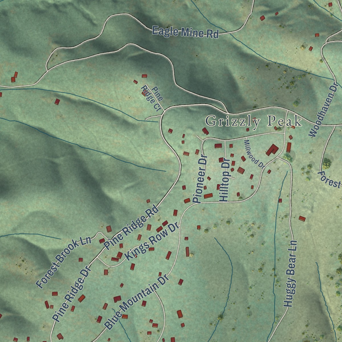 Second close-up of the map of Grizzly Flats, California print showing more streets and buildings
