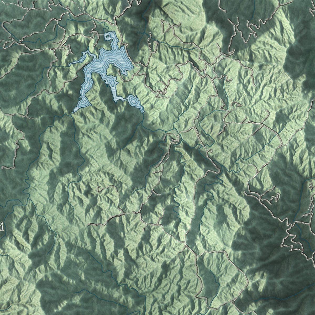 Second close-up of the map of Guayanilla, Puerto Rico print showing more streets and buildings