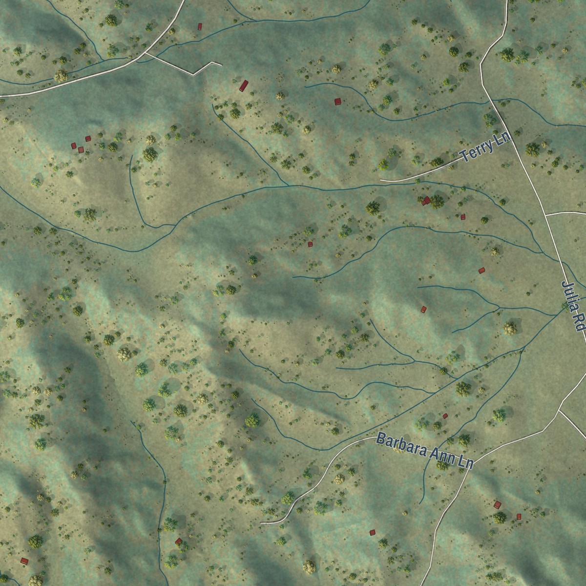 Second close-up of the map of Guffey, Colorado print showing more streets and buildings