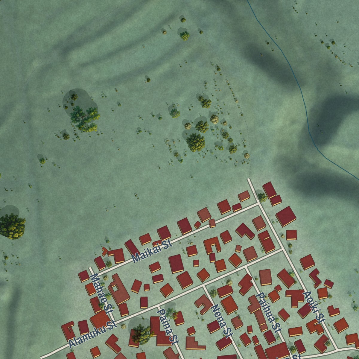 Second close-up of the map of Haliimaile, Hawaii print showing more streets and buildings
