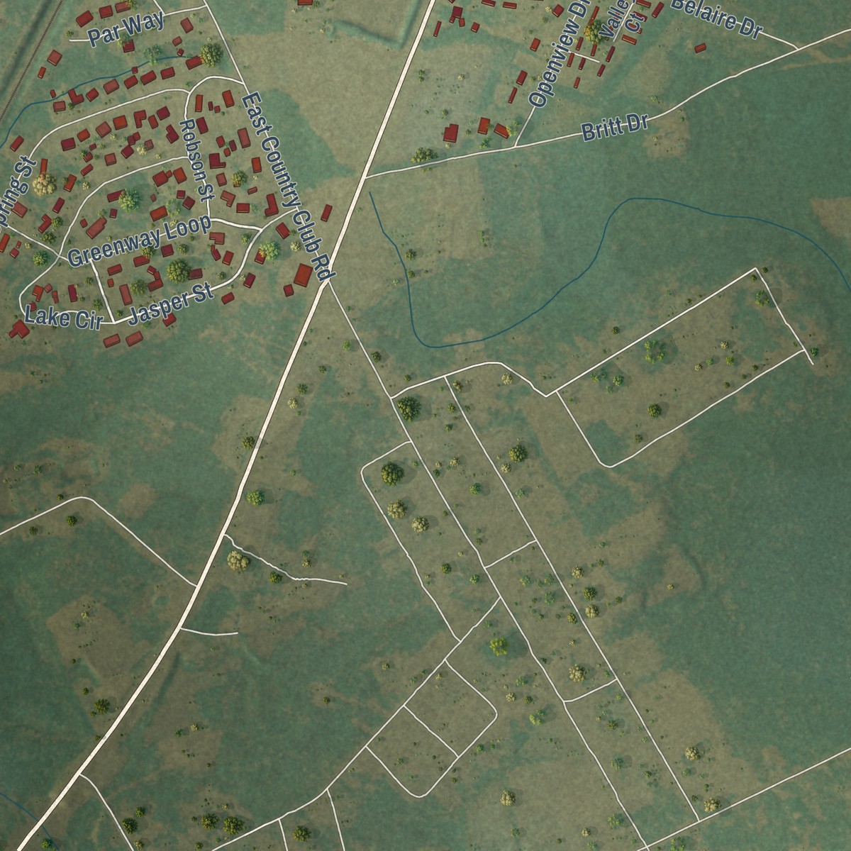 Second close-up of the map of Hamer, South Carolina print showing more streets and buildings