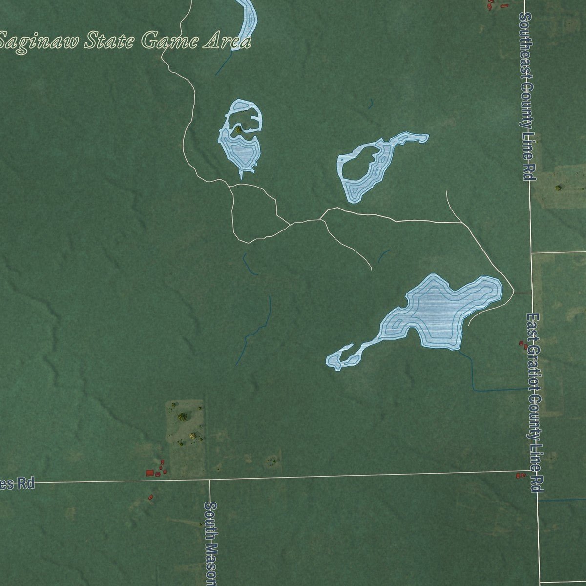 Second close-up of the map of Hamilton, Gratiot County, Michigan print showing more streets and buildings
