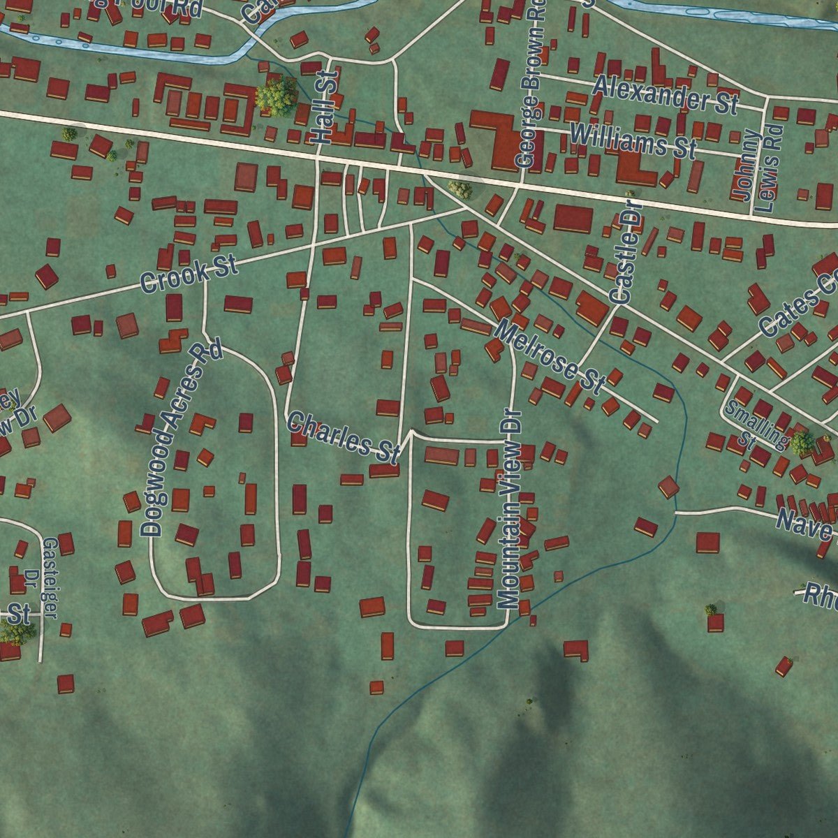 Second close-up of the map of Hampton, Tennessee print showing more streets and buildings