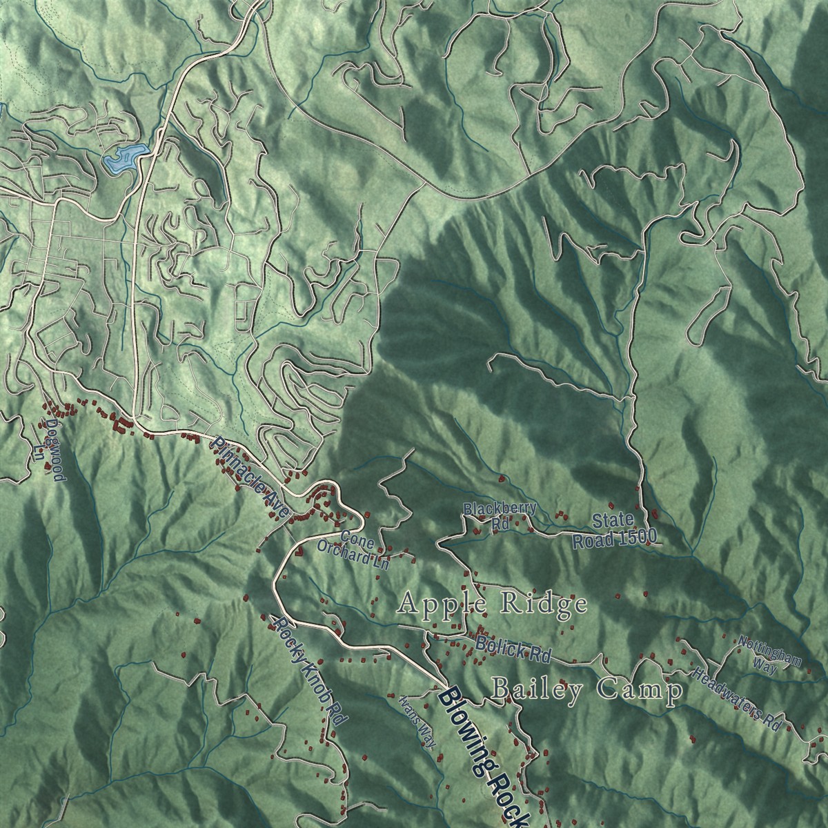 Second close-up of the map of Happy Valley, North Carolina print showing more streets and buildings