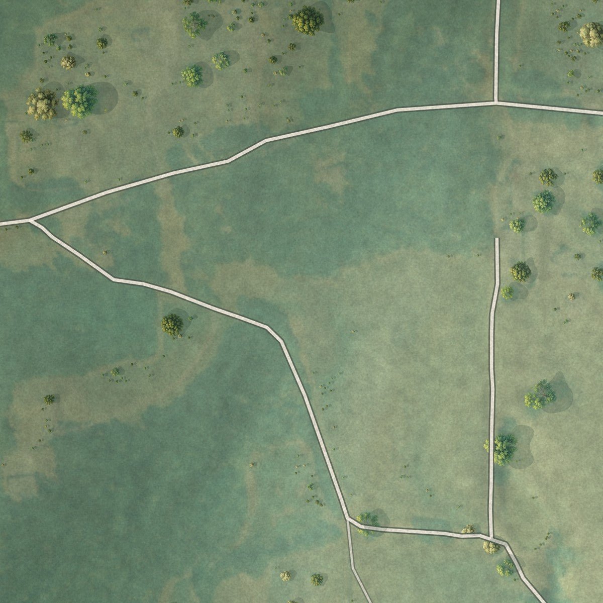 Second close-up of the map of Haralson, Georgia print showing more streets and buildings