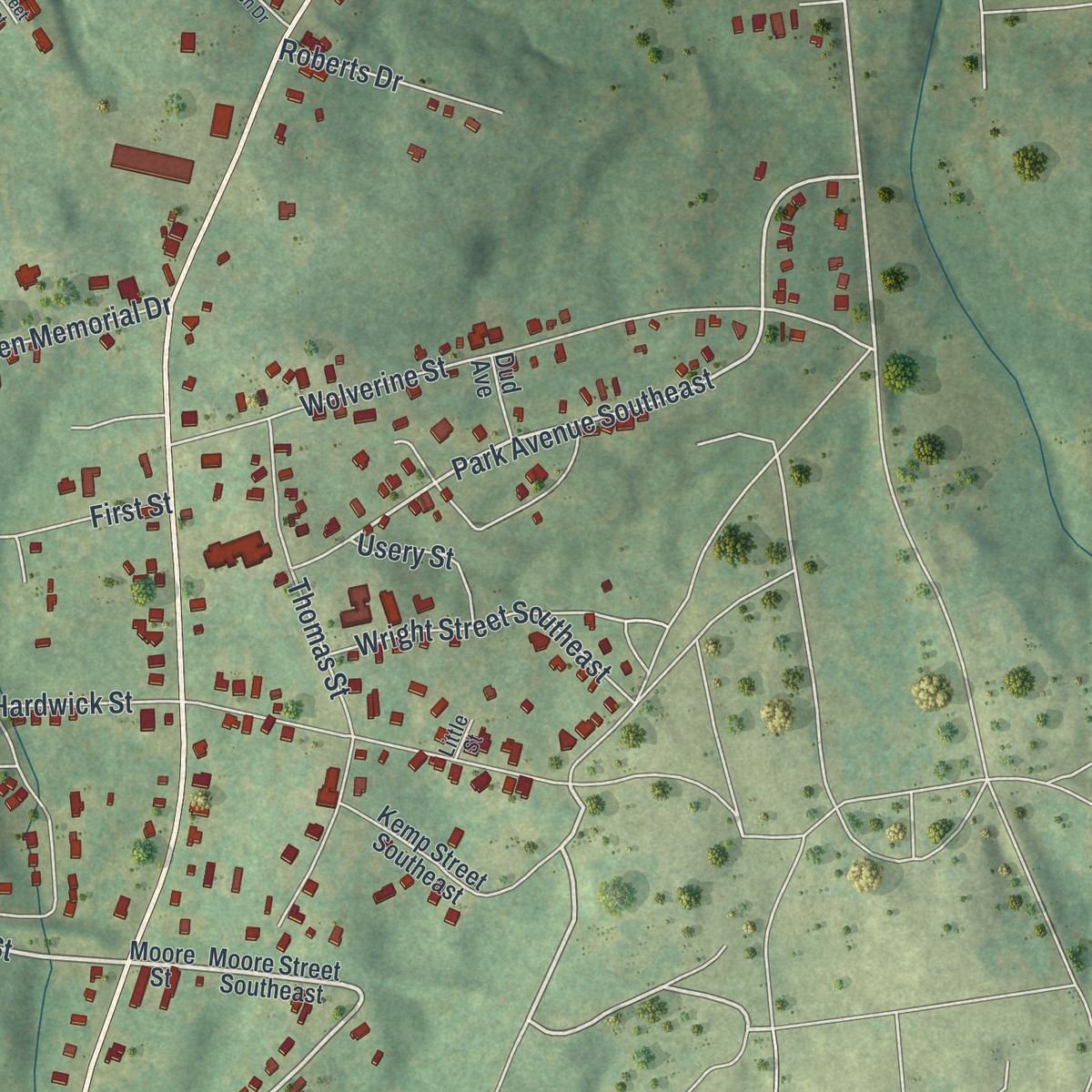 Second close-up of the map of Hardwick, Georgia print showing more streets and buildings