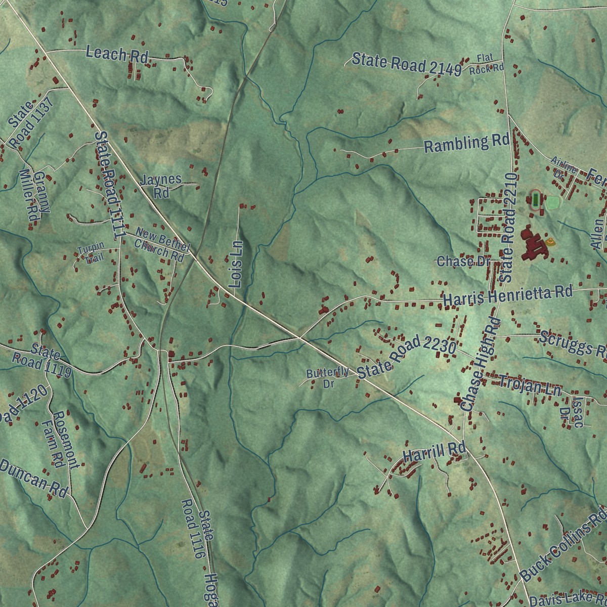 Second close-up of the map of Harris, North Carolina print showing more streets and buildings