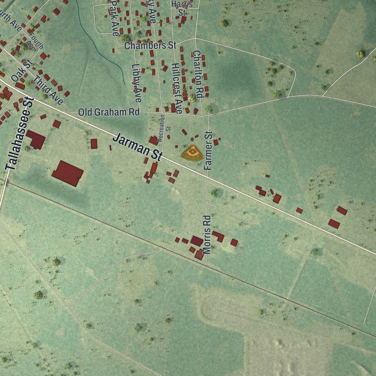 Second close-up of the map of Hazlehurst, Georgia print showing more streets and buildings