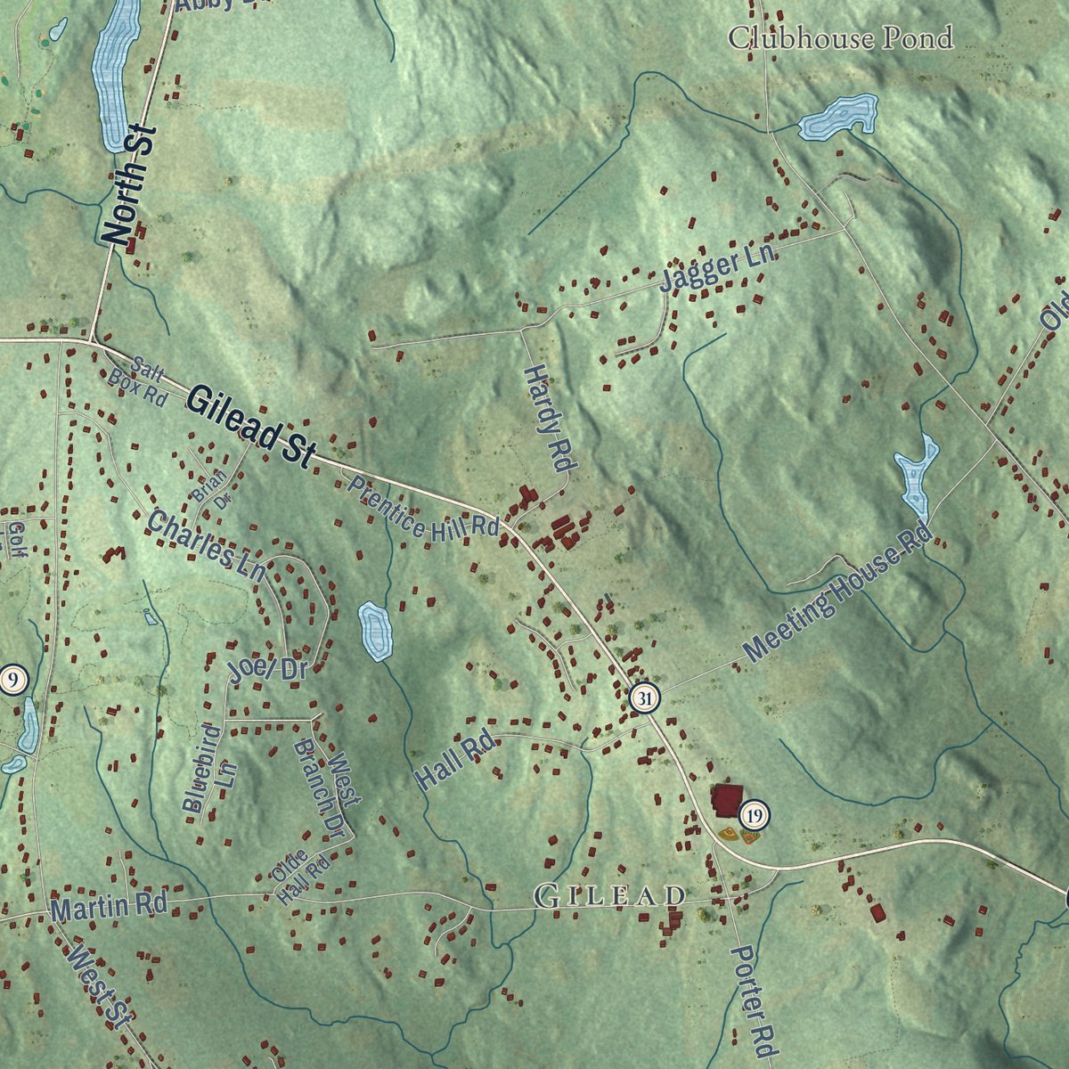 Second close-up of the map of Hebron, Connecticut print showing more streets and buildings