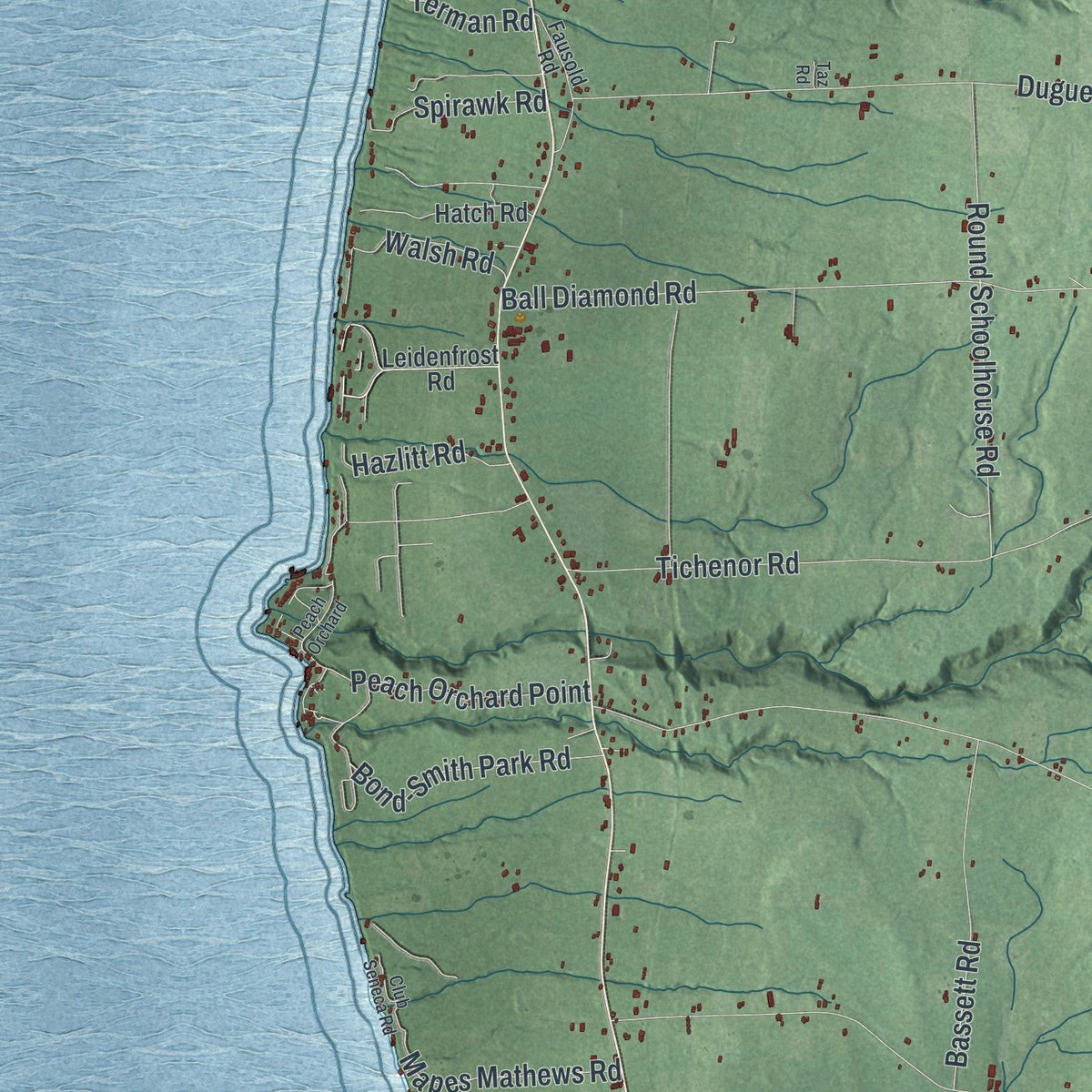 Second close-up of the map of Hector, New York print showing more streets and buildings